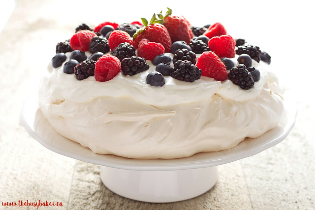 PAVLOVA