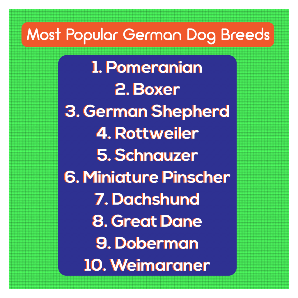 5 German Dog Breeds for nationaldogday Cudoo
