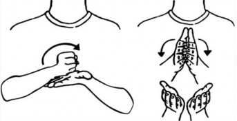 Saying "passport" in sign language