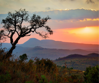 Flirting In French Top Words And Phrases You Need To Know