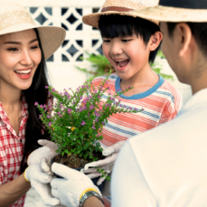 Photo of a female, child, and male talking while holding a plant
