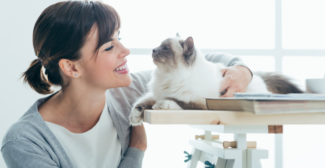 Cat Care Certification Course