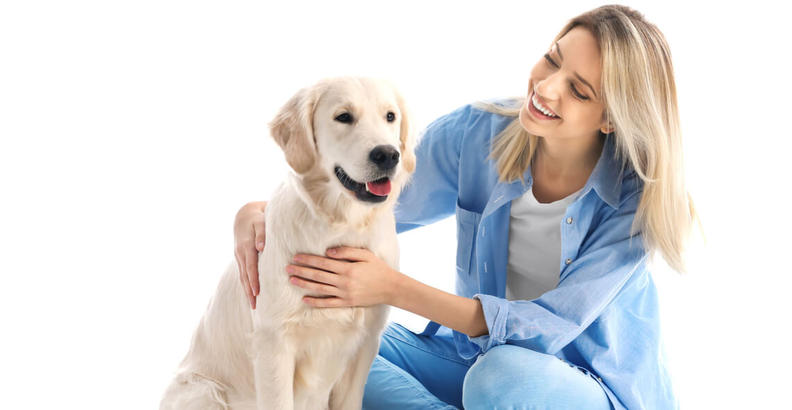 Pet Care Certification Course (Bundle)