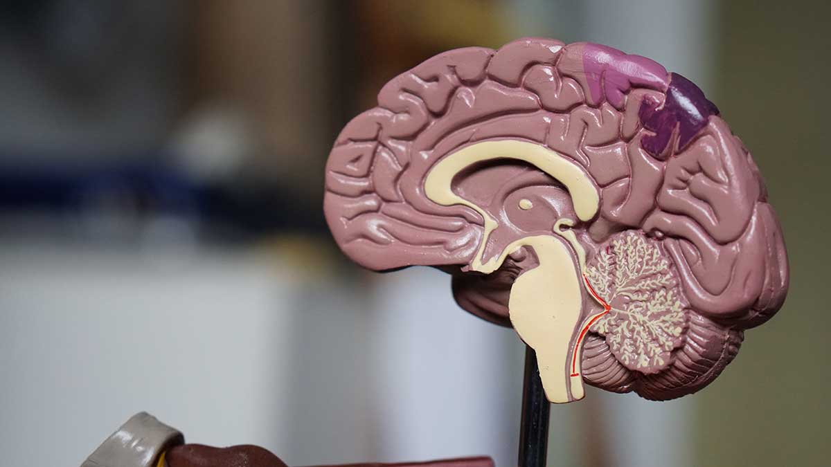 NLP - Neuro Linguistic Programming - The Ultimate Guide To NLP