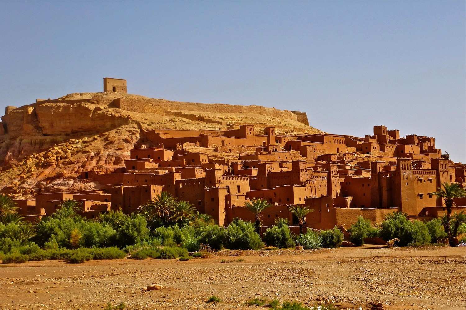 Learn Berber Tamazight Online - (Business)